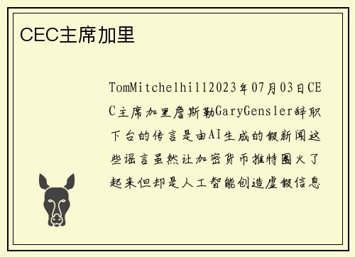 CEC主席加里