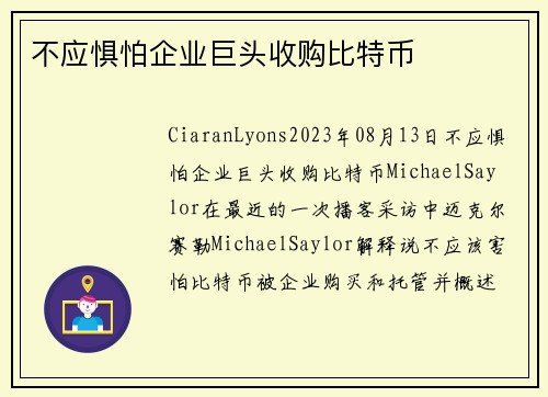 不应惧怕企业巨头收购比特币 